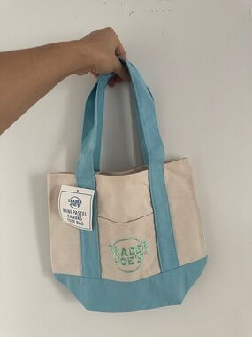NTW TRADER JOE’S baby blue mini tote!